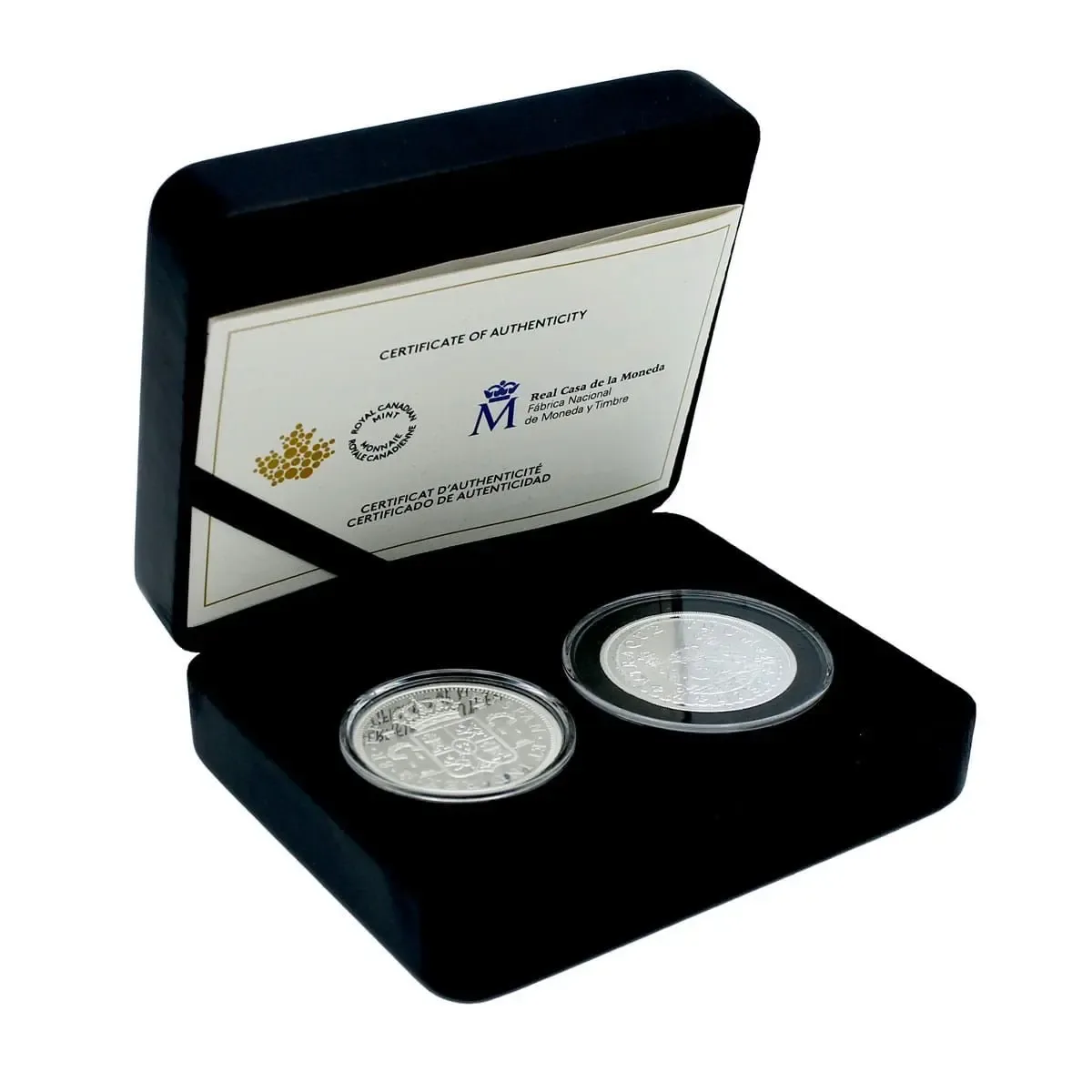 Moneda por usuario